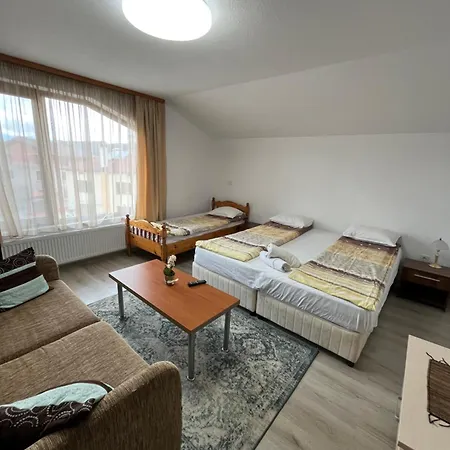 Bayrakova Guest house *
