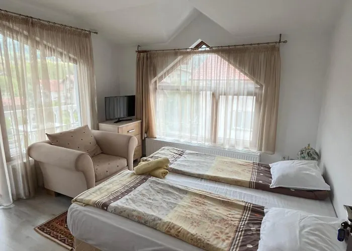 Bayrakova 도브리니쉬트