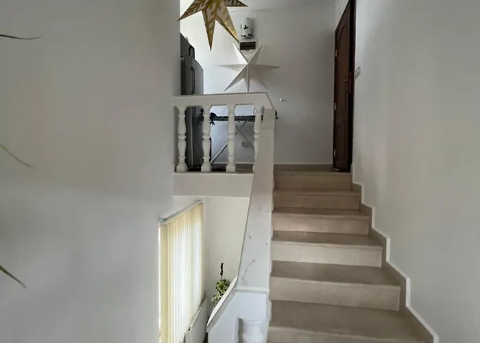 Bayrakova * 도브리니쉬트