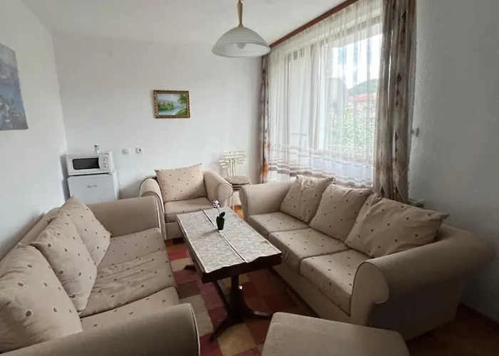 게스트하우스 Bayrakova 도브리니쉬트