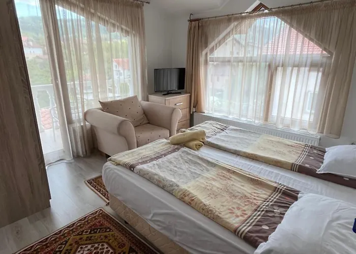 Bayrakova 도브리니쉬트