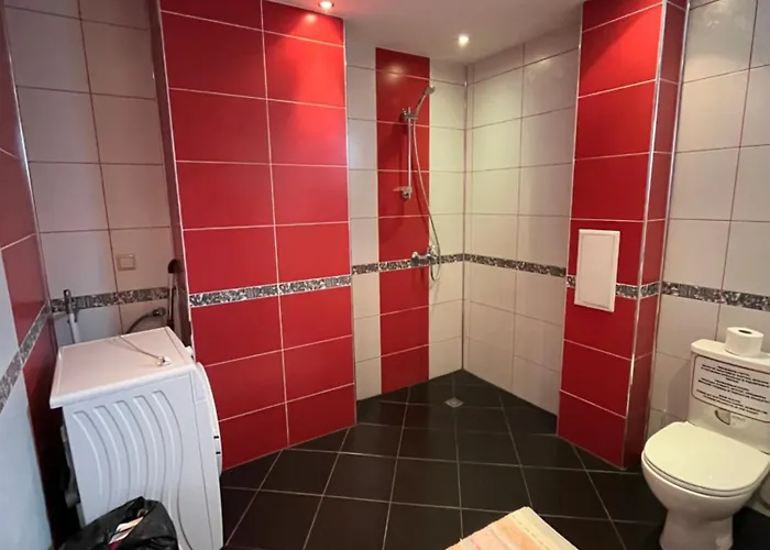 Bayrakova * 도브리니쉬트